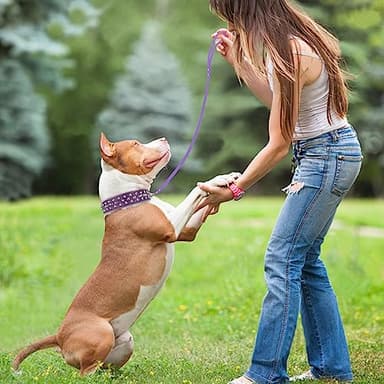 Epesiri Spiked Studded Dog Collar with A Leash, Rivet Artificial Leather Dog Collars, Adjustable Durable Leather Cat Collar for Small Medium Large Pet, Like Pit Bull Bulldog Pugs Husky, Purple S - Image 5