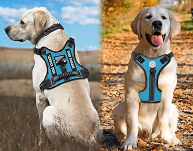 Dogmify Service Dog Harness,No-Pull Reflective Pet Vest Harness and Leash Set,Adjustable Oxford Service Dog Vest with Handle,Easy Control for Small Medium Large Dogs - Image 4