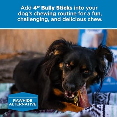 Best Bully Sticks 4 Inch Bully Sticks - 8 oz (Pack of 1) - Natural Grass-Fed, Grain and Rawhide Free, Ideal for Small or Young Canines - Image 6