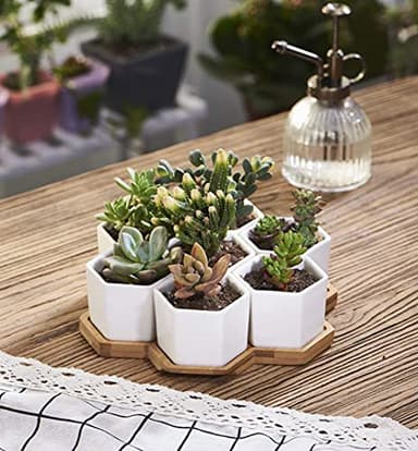 FLOWERPLUS Planter Pots Indoor, 7 Pack 2.75 Inch Modern White Ceramic Small Hex Succulent Cactus Flower Plant Pot with Bamboo Tray for Indoors Outdoor Office Home Garden Kitchen Decor (Hexagon) - Image 7
