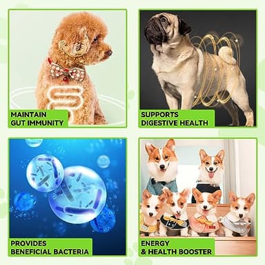 Liquid Dog Probiotic,Natural 3 in 1 Probiotic for Dogs, Dog Digestive Support,Gut Health Support,Help with Diarrhea,Gas and Bloating,Dog Herbal Supplements- 60ml - Image 4