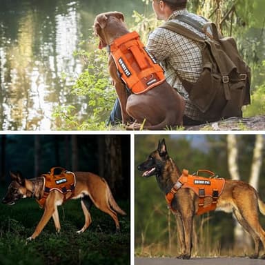 WINSEE Mesh Dog Harness with 10 Pet Patches for Large Service Dog in Training, Breathable Tactical Molle Vest with Double Handles, Reflective Military Pet Vest for Walking Hiking - Image 8
