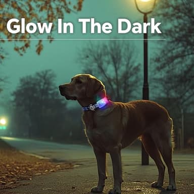 LED Smart QR Code Dog Collar - Lost at Night Collar Showing Details of Owner and pet - Durable, Adjustable, Soft - Rose red Suitable for Small, Medium and Large Dogs - Image 8