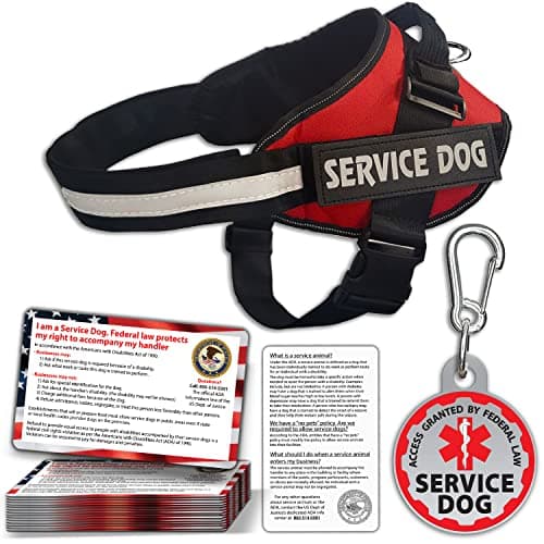 Service Dog Vest + ID Tag + 50 ADA Information Cards - Service Dog Harness in Sizes X Small to XX Large, Metal Dog Tag has Durable Clip, Service Animal Information Cards are 2-Sided. ESA Accessory Set - Image 1
