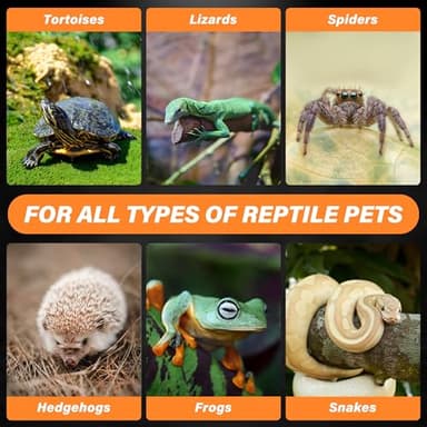 HealSmart Reptile Heat Lamp 75W 2-Pack Ceramic Heat Emitter, No Light Emitting Heat Bulbs for Amphibian Pet Brooder Coop Incubating Chicken, Lizard Bearded Dragon Turtle Snake Terrarium, Black - Image 6