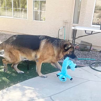 Jalousie 5 Pack Stuffingless Dog Squeaky Toys Dog Toy w/Durable Liner No Stuffing Dog Toy - Dog Toys Crinkle Paper Squeaker Toy for Medium Large Dogs (5 Pack - Large - Premium Furrrr) - Image 5