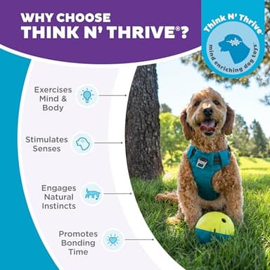 Outward Hound by Nina Ottosson Treat Tumble Interactive Puzzle Ball Dog Toy, Level 1 Beginner, Blue, Small (4.75" Diameter) - Image 6