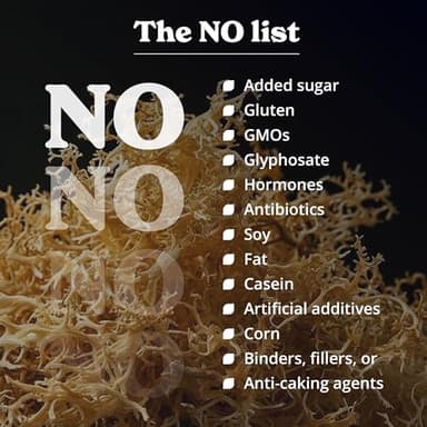 Better Alt Irish Sea Moss Gummies | Strawberry Flavor | Lab-Tested for Purity | Supports Immune Health & Energy | 1-Month Pack - Image 7