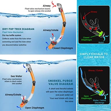 ZEEPORTE Mask Fin Snorkel Set with Adult Snorkeling Gear, Panoramic View Diving Mask, Trek Fin, Dry Top Snorkel +Travel Bags, Snorkel for Lap Swimming - Image 4