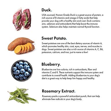 Pet Jerky Factory Premium Duck and Blueberry 5 oz. Dog Jerky Treats | 100% Human Grade | USA Made | High Protein | Grain Free | Limited Ingredients | No Filler | BHA-BHT Free | Soft-Tender - Image 3