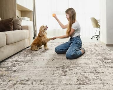 UERMEI 10x14 Area Rug Living Room Rugs - Washable Neutral Modern Abstract Soft Thin Large Rug Indoor Floor No Slip Rug Carpet for Bedroom Under Dining Table Home Office Decor - Dark Brown - Image 3