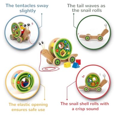Hape Walk-A-Long Snail Pull Toy |Award Winning Toddler Wooden Push and Pull Toy with Removable Color - Image 6