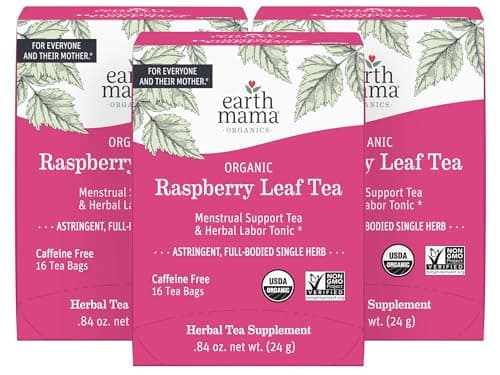 Earth Mama Organic Raspberry Leaf Tea Bags | Labor Tonic & Menstrual Support Herbal Tea, Red Raspberry Leaf Tea for Pregnancy & Postpartum Care Recovery, Caffeine Free Tea, Non GMO, (16 Teabags, 3-Pk)