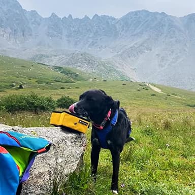 OllyDog Crumple Travel Food Bowl, Water-Resistant Collapsible Dog Bowl, Portable Dog Bowl, Pet Supplies, Ideal for Outdoor Camping, Walking, Traveling, Hiking (Raven) - Image 5