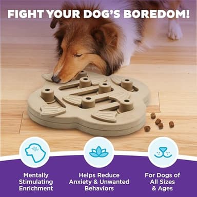 Outward Hound by Nina Ottosson Dog Hide N' Slide Treat Puzzle Enrichment Toy, Level 2 Intermediate, Tan, Composite - Image 2