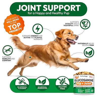 Petsology Glucosamine for Dogs - Hip and Joint Supplement for Dogs - 170 Mobility Chews - Glucosamine Chondroitin - MSM - Turmeric - Joint Pain Relief - Advanced Support for Dog Health - Made in USA - Image 5