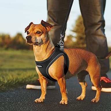 Fida Comfy Dog Harness with Leash, Soft Puppy Vest Escape Proof, Breathable Lightweight Soft Mesh, Adjustable Reflective Step-in Harness for Medium & Large Pet Walking (XL, Black) - Image 6
