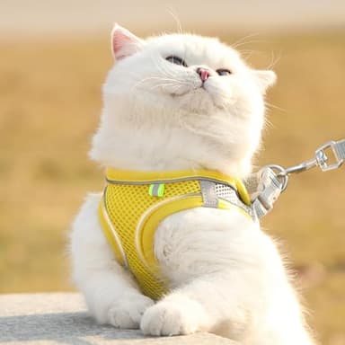 HIPVMES Cat Harness and Leash Set Soft Adjustable Escape Proof Cat Leash Breathable Comfortable Vest Easy to Wear Kitten/Small Dogs Harness for Outdoor Walking Yellow XS - Image 5