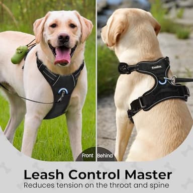 Funfox Dog Harness No Pull, Adjustable Pet Vest Harness Black M with Handle, 2 Leash Clips for Daily Walking Easy Control, Soft Durable Reflective Comfortable for Medium Sized Dogs - Image 7