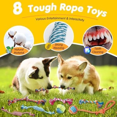 Zeaxuie 25 Pack Luxury Dog Chew Toys for Puppy, Dog Toys with Ropes, Treat Ball and Squeaky Puppy Toys for Teething Small Dogs - Image 5