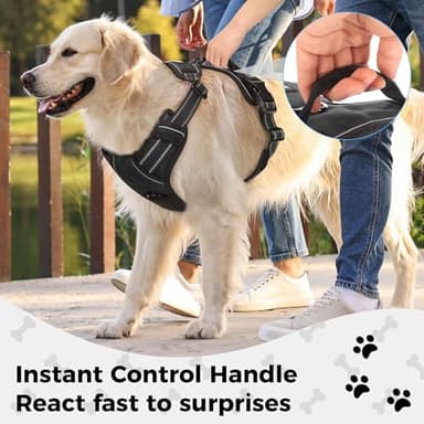 Funfox Dog Harness No Pull, Adjustable Pet Vest Harness Black M with Handle, 2 Leash Clips for Daily Walking Easy Control, Soft Durable Reflective Comfortable for Medium Sized Dogs - Image 6