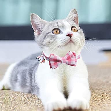 STMK 2 Pack Easter Plaid Cat Collars with Bow Tie Bell, Breakaway Adjustable Cat Kitten Plaid Collars with Bowtie Bell Bunny Chick for Cats Kittens (Pink & Yellow) - Image 7
