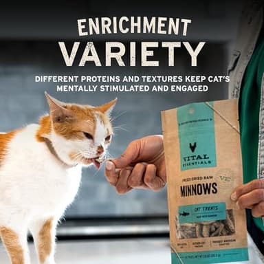Vital Essentials Minnows Cat Treats, 1 oz | Freeze-Dried Raw | Single Ingredient | Grain Free, Gluten Free, Filler Free - Image 6