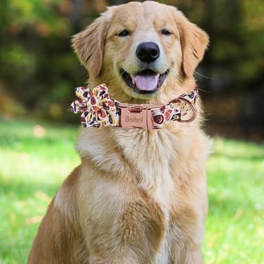 Bnibol Halloween Pumpkin Pattern Dog Collar,Multicolored Bow Tie Dog Collar with Metal Adjustable Buckle,Soft and Comfortable Ghost Dog Collars for Medium Dogs.(Orange, M) - Image 4