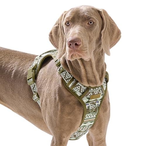 Dog Harness for Giant Dogs, Heavy Duty No Pull Pet Harness Vest Easy Control with Handle, Adjustable Reflective Extra Big Sized Dog Vest for Training, Walking, Hiking, Green Ethnic, XL - Image 1