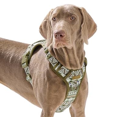 Dog Harness for Giant Dogs, Heavy Duty No Pull Pet Harness Vest Easy Control with Handle, Adjustable Reflective Extra Big Sized Dog Vest for Training, Walking, Hiking, Green Ethnic, XL - Image 1
