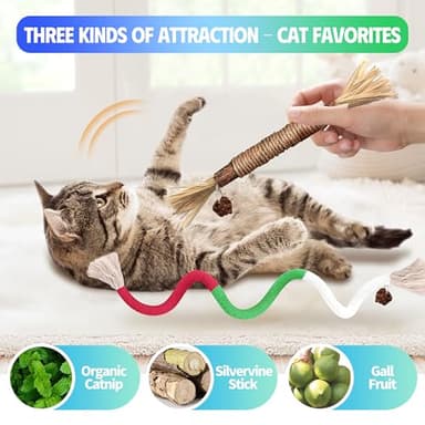 GBSYU Cat Toys Chew Rope & Silvervine Sticks for Bored Indoor Adult Cats, 6Pcs Interactive Catnip Toys for Cats with Refillable Natural Catnip Bag for Teeth Cleaning - Image 2