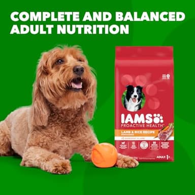 IAMS Proactive Health Minichunks Adult Dry Dog Food with Lamb & Rice, 30 lb. Bag - Image 13