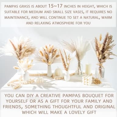 70PCS Natural Dried Pampas Grass Boho Home Decor Bouquet Phragmites Dried Flowers Bouquet for Wedding Floral Arrangements Home Decorations (70PCS) - Image 5