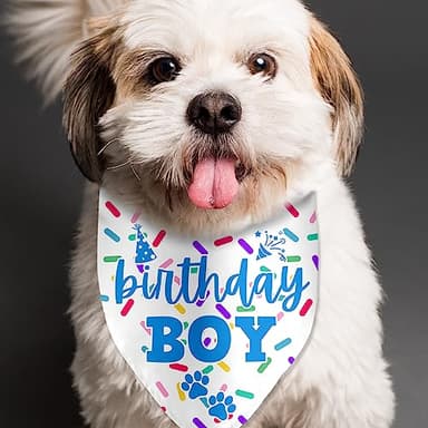 Birthday Boy Dog Bandanas for Photo Props - Happy Birthday Party Accessories - Image 4