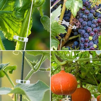 Ghguole 300 pcs Plant Clips for Climbing Plants, Tomato Plant Clips, Plant Support Clips for Gardening, Garden Clips for Climbing Plants to Grow Upright Makes Plants Healthier - Image 6