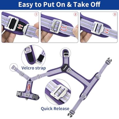 Tacwild No Pull Dog Harness - Adjustable Reflective Dog Vest with Metal Snap, Soft Breathable Mesh No Choke Puppy Harness, Easy to Put on & Take Off (Blue-XL) - Image 5