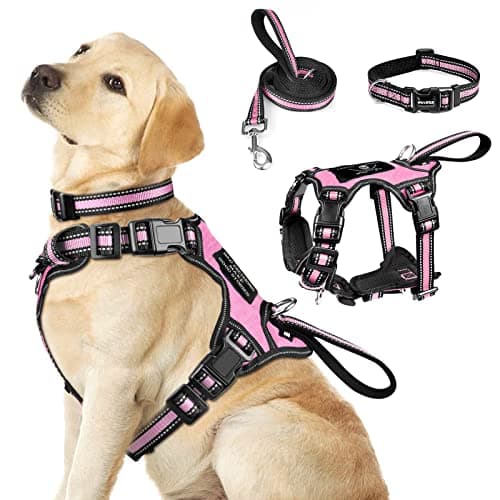 WINSEE Pet Harness Collar and Leash Set, All-in-one Reflective Dog Harness No Pull with Adjustable Buckles for Puppies, Small, Medium, Large, and Extra-Large Dogs (Large, Pink) - Image 1