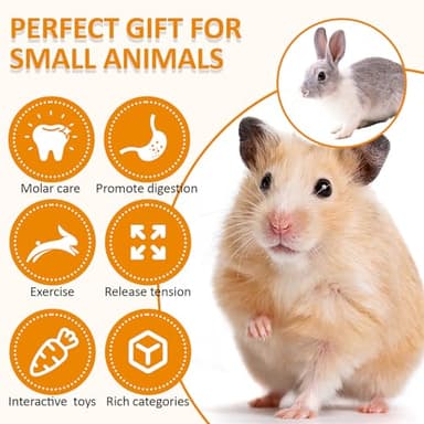 VESPRO Hamster Toys Set, Guinea Pig Toys Small Animal Chewing Toy and Rat Cage Accessories, Chinchillas, Gerbils, Rats, Rabbit Rodents Teeth Care, Apple Wood Timothy Hay Mouse Toy Swing Seesaw Bridge - Image 4