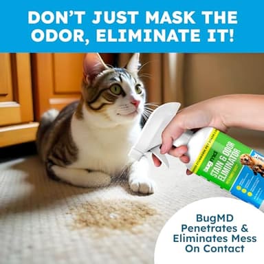 BugMD Enzyme Cleaner for Dog & Cat Urine | Pet Stain and Odor Remover for Carpet & Home | Unscented Urine Destroyer & Deodorizer - Image 5