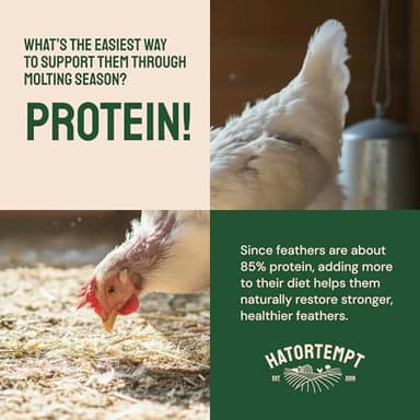Hatortempt Chicken Feed Dried Mealworms - 5 Lb, Non-GMO & Organic - High-Protein Mealworms for Wild Birds & Ducks, Chicken Treats & Bird Food - Image 8