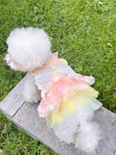 Butterfly Dog Costume Pet Girl Cute Puppy Clothes for Small Dog Girls Halloween Costum Cat Outfit for Kitten Chihuahua Yorkie Pomeranian (Small size for 3.3-5.5lb pets) - Image 8