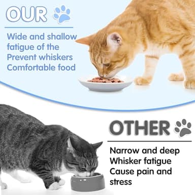6 Pack Cat Food Bowl, Ceramic Cat Bowls, Anti Whisker Fatigue Cats Bowl,5.5 Inches Shallow Wide Kitten Plates for Food and Water (White) - Image 3