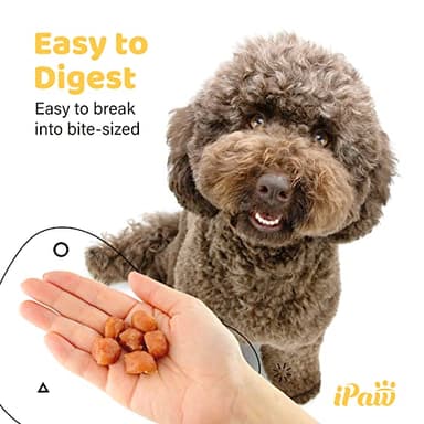 iPaw Chicken Tots Dog Treats for Puppy Training, All Natural Human Grade Dog Treat, Hypoallergenic, Easy to Digest (Chicken Tots) - Image 5