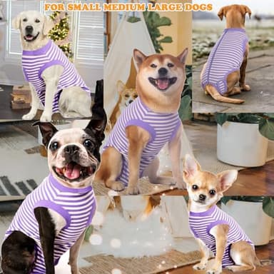 Sychien Dog Recovery Suit Medium,Female Spay Male Surgery Recovery Shirt,Soft Combed Cotton Surgical Puppy Suit,M Purple-White Striped - Image 3