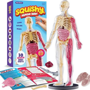 Dan&Darci Human Anatomy Squishy Body Model - Science Kits for Kids Ages 4-8 - STEM Toys for 4 5 6 7 8 Year Old Boy Birthday Gift - Learning Educational Toys for Ages 5-7 Boys Gifts - Skeleton Parts - Image 1