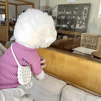 Cute Cat Sweater Sphynx Cotton Pullover All Season Soft Turtleneck Skin-Friendly Hairless Pet Apparel with Sleeves for Indoor Cats and Small Dogs (Pink, M (4.4-7.7lbs)) - Image 4