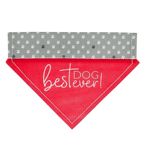 Pavilion - Best Dog Ever! - Canvas XS/Small Dog Cat Over The Collar Pawprint Bandana Attachment Kitten Puppy Kitty Doggy Feline K9 Rescue Adoptive Cat Dog Pet Accessories Embellishment - Image 1