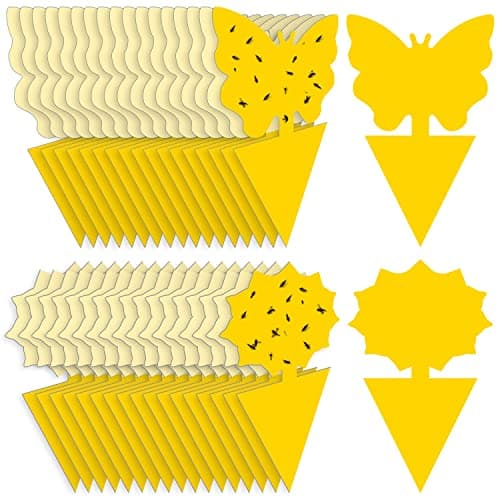 Fruit Fly Traps Fungus Gnat Traps Yellow Sticky Bug Traps 36 Pack No Harm and Odorless for Indoor Outdoor Use Protect The Plant - Image 1