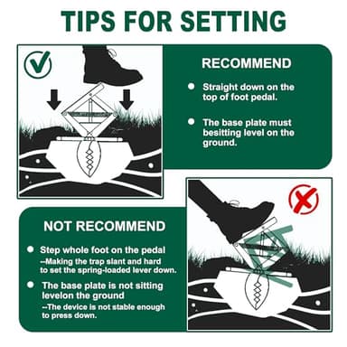 Mole Trap Scissor 2 Pack, Upgraded Mole Traps for Lawns That Kill Best, Galvanized Steel Mole Killer, Easy Step Setup - Image 6