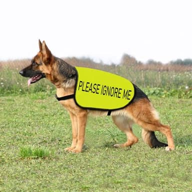 Working Dog Jacket Vest Please Ignore Me Alert Dog Slogan Vest Social Distancing Gift (Please Ignore Me-Medium) - Image 6